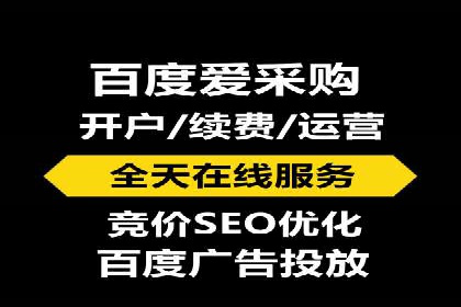 成功SEM托管案例解析